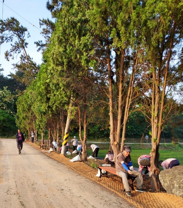 백련마을 조성 공원 전경, 백련마을 주민들이 함께 공원을 조성하는 모습 (사진제공 = 함평군)